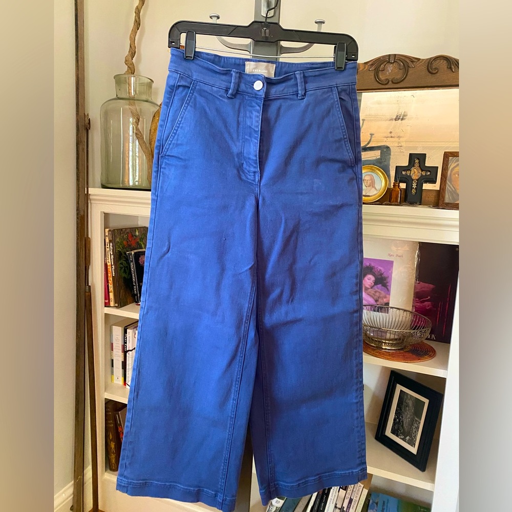 Everlane Organic Wide Leg Pants Blue Size 4